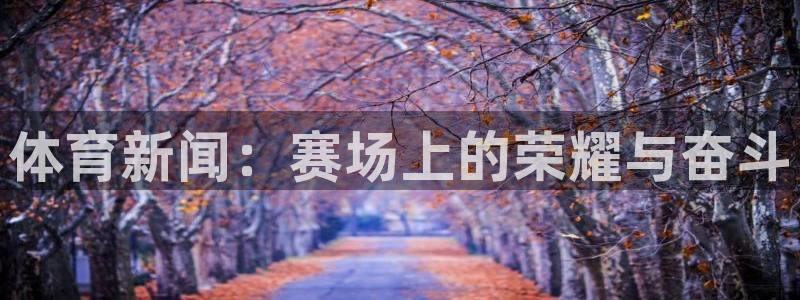 体育新闻：赛场上的荣耀与奋斗
