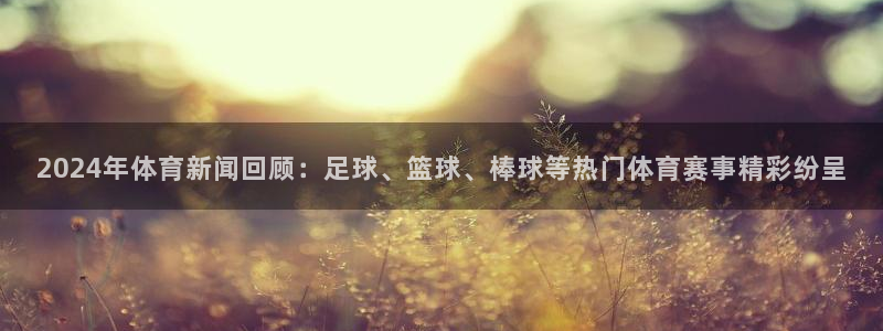 2024年体育新闻回顾：足球、篮球、棒球等热门体育赛事精彩纷呈