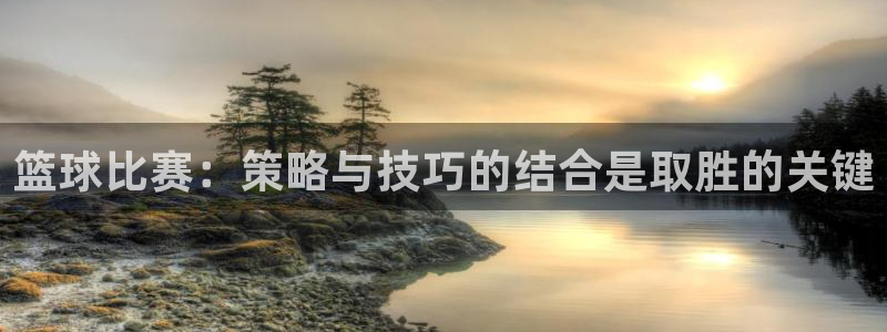 篮球比赛：策略与技巧的结合是取胜的关键