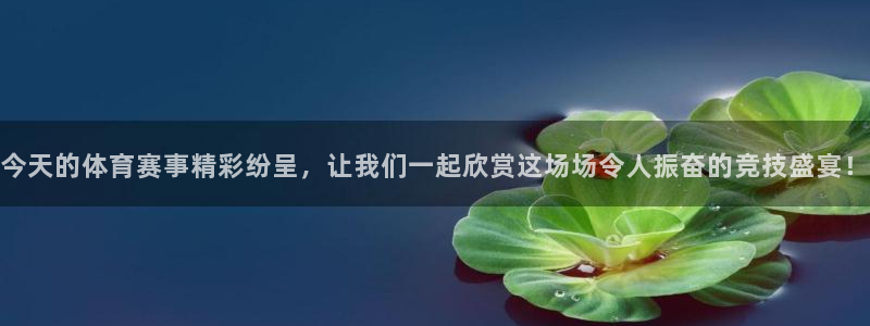 今天的体育赛事精彩纷呈，让我们一起欣赏这场场令人振奋的竞技盛宴！