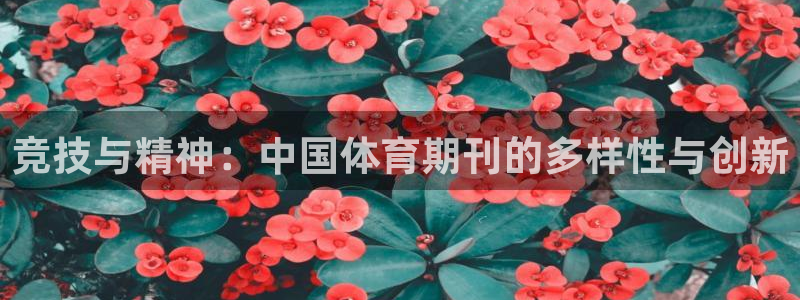 竞技与精神：中国体育期刊的多样性与创新