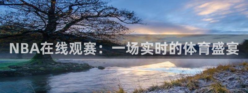 NBA在线观赛：一场实时的体育盛宴