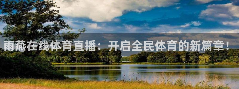 雨燕在线体育直播：开启全民体育的新篇章！