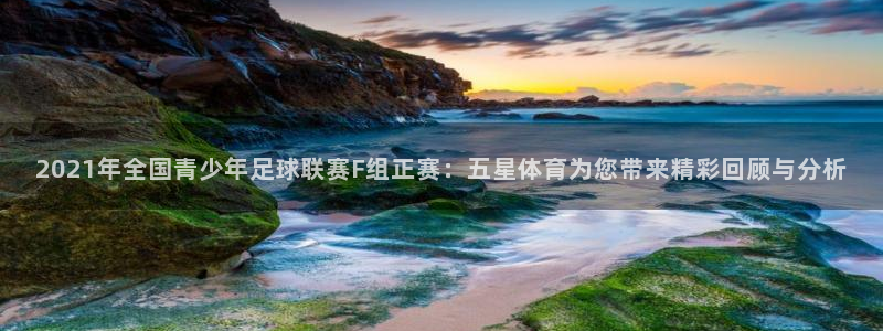 2021年全国青少年足球联赛F组正赛：五星体育为您带来精彩回顾与分析