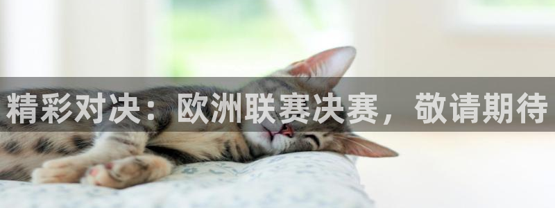 精彩对决：欧洲联赛决赛，敬请期待