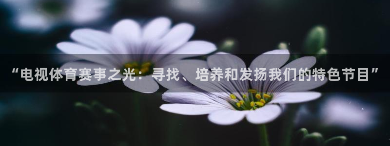“电视体育赛事之光：寻找、培养和发扬我们的特色节目”