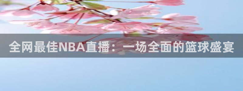 全网最佳NBA直播：一场全面的篮球盛宴