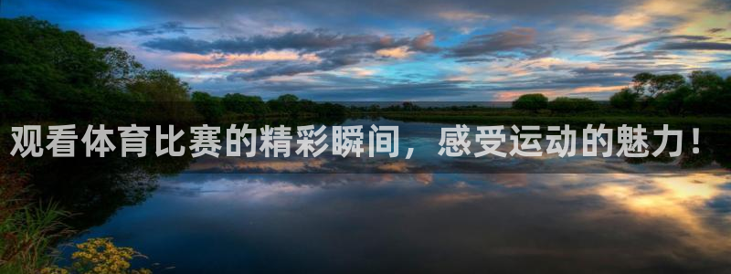 观看体育比赛的精彩瞬间，感受运动的魅力！