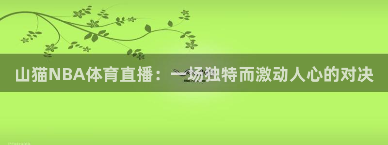 山猫NBA体育直播：一场独特而激动人心的对决