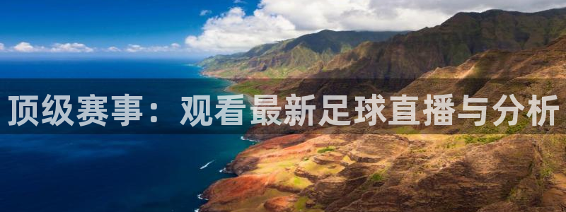 顶级赛事：观看最新足球直播与分析