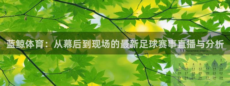 蓝鲸体育：从幕后到现场的最新足球赛事直播与分析