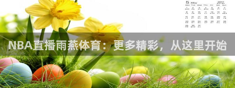 NBA直播雨燕体育：更多精彩，从这里开始
