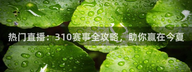 热门直播：310赛事全攻略，助你赢在今夏