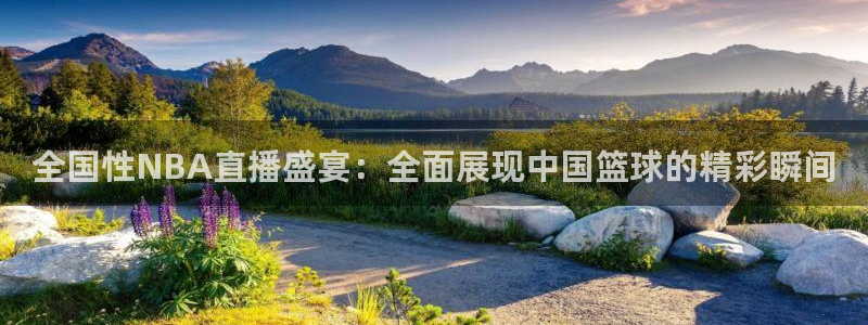 全国性NBA直播盛宴：全面展现中国篮球的精彩瞬间
