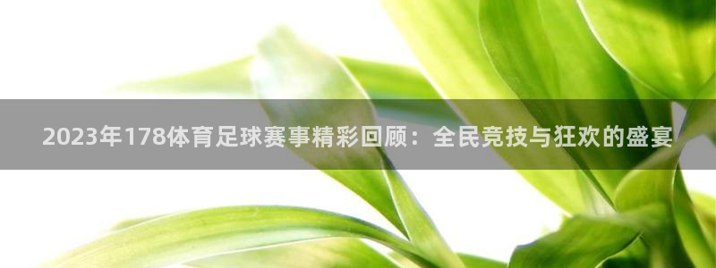 2023年178体育足球赛事精彩回顾：全民竞技与狂欢的盛宴