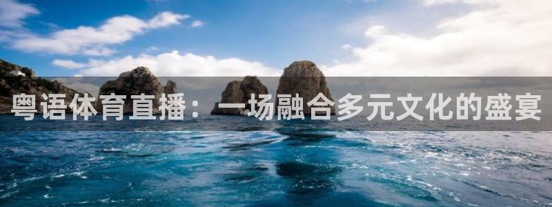 粤语体育直播：一场融合多元文化的盛宴