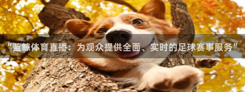 “蓝鲸体育直播：为观众提供全面、实时的足球赛事服务”