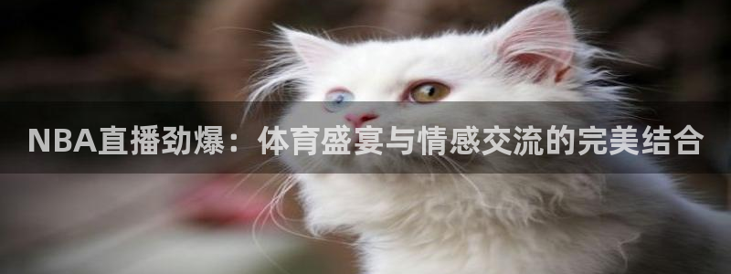 NBA直播劲爆：体育盛宴与情感交流的完美结合