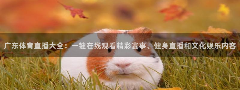广东体育直播大全：一键在线观看精彩赛事、健身直播和文化娱乐内容