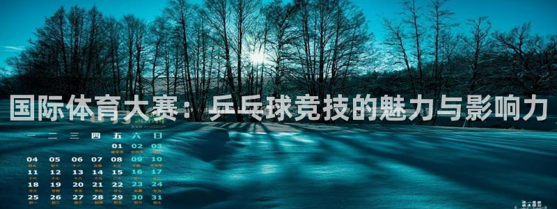 国际体育大赛：乒乓球竞技的魅力与影响力