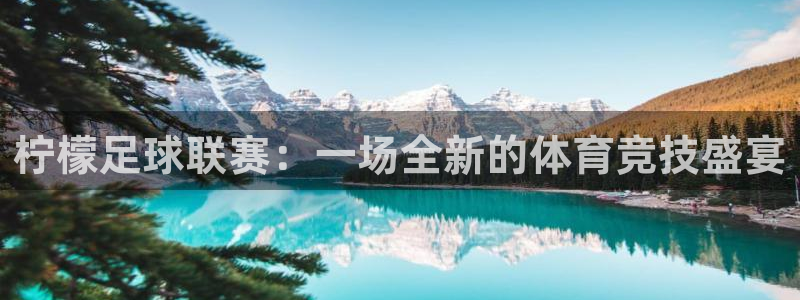 柠檬足球联赛：一场全新的体育竞技盛宴