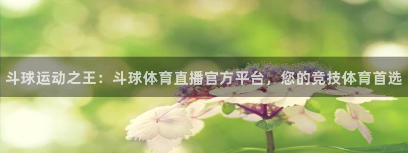 斗球运动之王：斗球体育直播官方平台，您的竞技体育首选