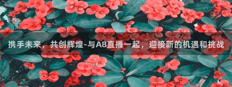 携手未来，共创辉煌-与A8直播一起，迎接新的机遇和挑战