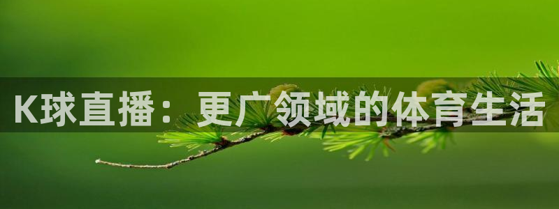 K球直播：更广领域的体育生活
