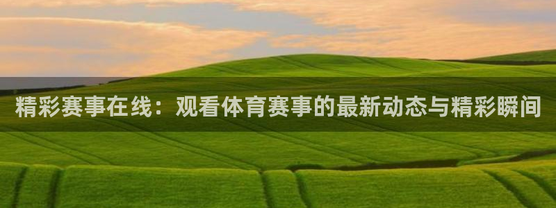 精彩赛事在线：观看体育赛事的最新动态与精彩瞬间