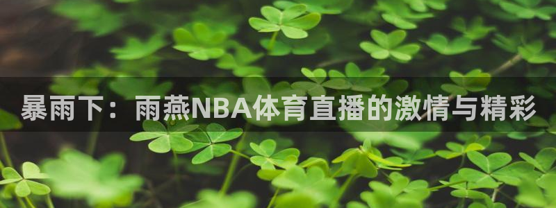 暴雨下：雨燕NBA体育直播的激情与精彩