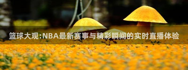 篮球大观:NBA最新赛事与精彩瞬间的实时直播体验