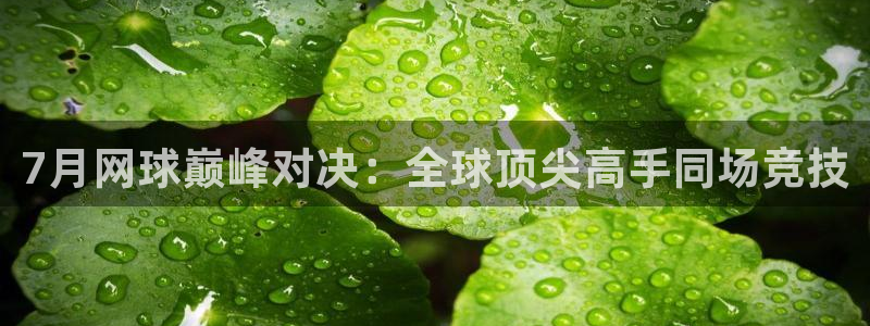 7月网球巅峰对决：全球顶尖高手同场竞技