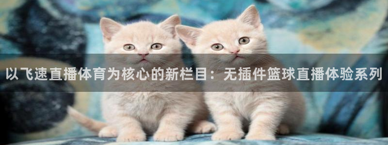 以飞速直播体育为核心的新栏目：无插件篮球直播体验系列