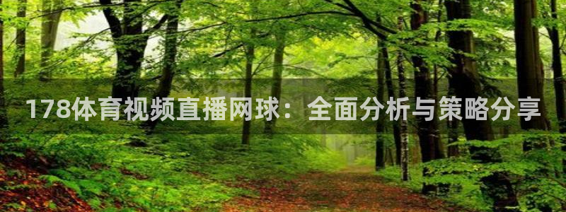 178体育视频直播网球：全面分析与策略分享
