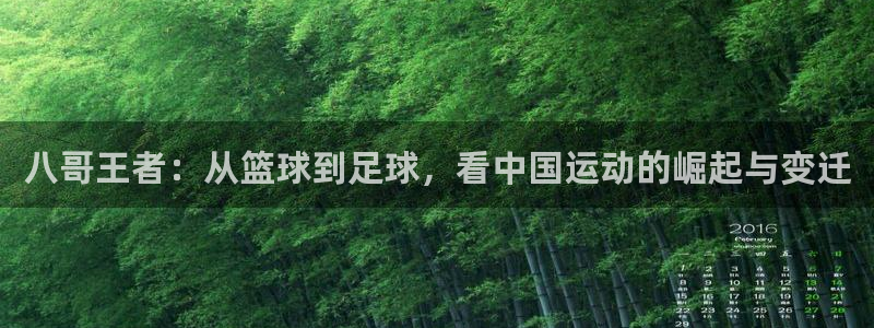 八哥王者：从篮球到足球，看中国运动的崛起与变迁