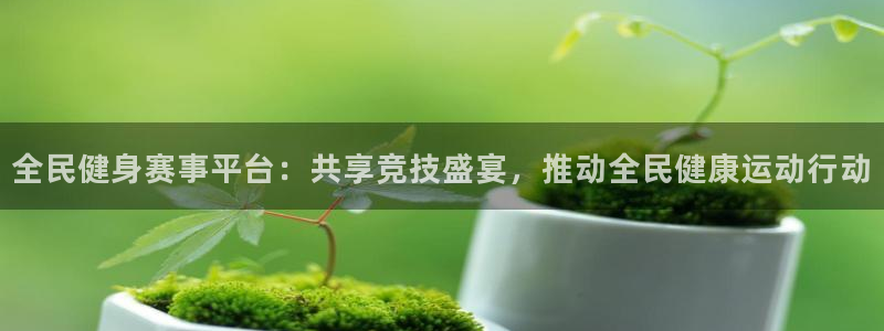 全民健身赛事平台：共享竞技盛宴，推动全民健康运动行动