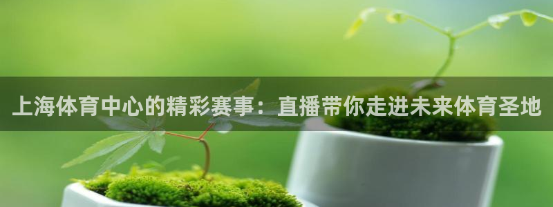 上海体育中心的精彩赛事：直播带你走进未来体育圣地