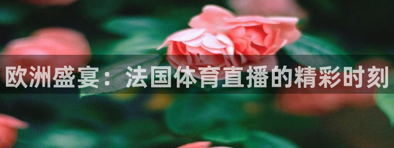 欧洲盛宴：法国体育直播的精彩时刻