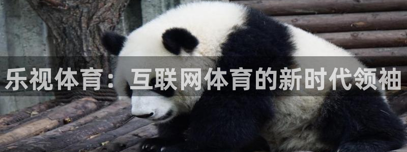 乐视体育：互联网体育的新时代领袖