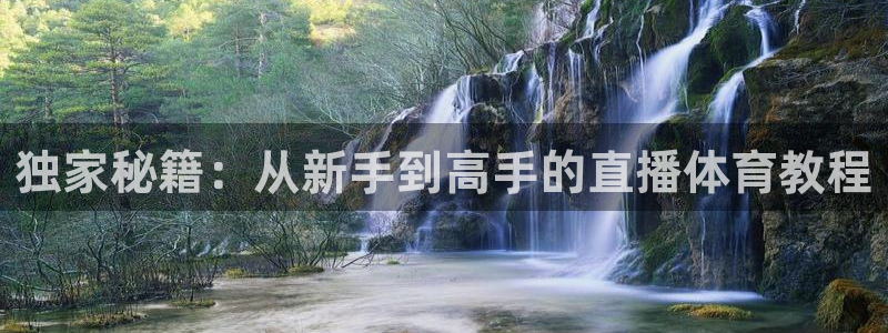 独家秘籍：从新手到高手的直播体育教程