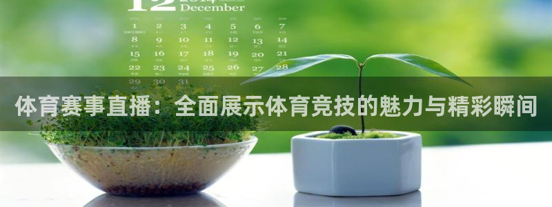 体育赛事直播：全面展示体育竞技的魅力与精彩瞬间