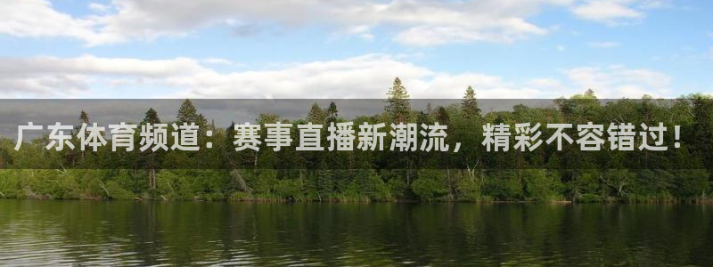 广东体育频道：赛事直播新潮流，精彩不容错过！