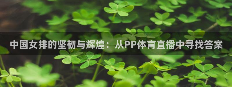 中国女排的坚韧与辉煌：从PP体育直播中寻找答案
