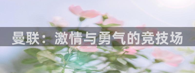 曼联：激情与勇气的竞技场