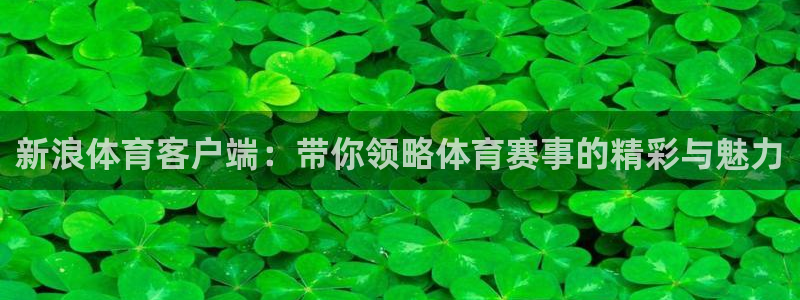 新浪体育客户端：带你领略体育赛事的精彩与魅力