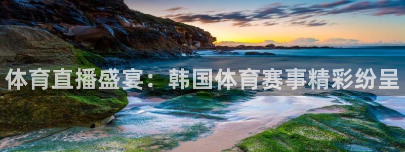 体育直播盛宴：韩国体育赛事精彩纷呈
