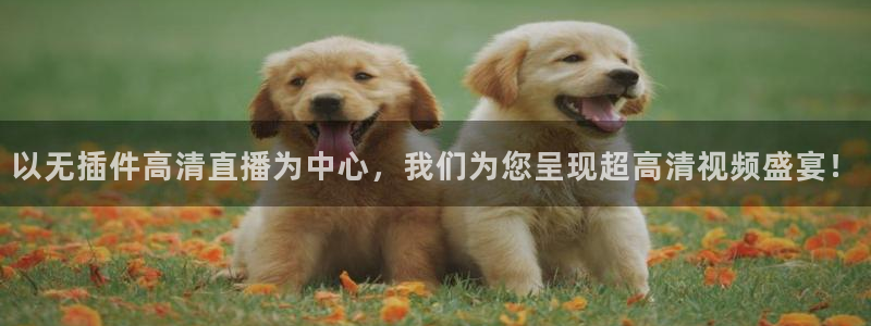 以无插件高清直播为中心，我们为您呈现超高清视频盛宴！