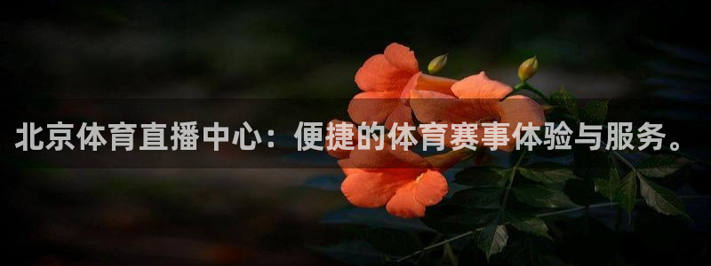 北京体育直播中心：便捷的体育赛事体验与服务。