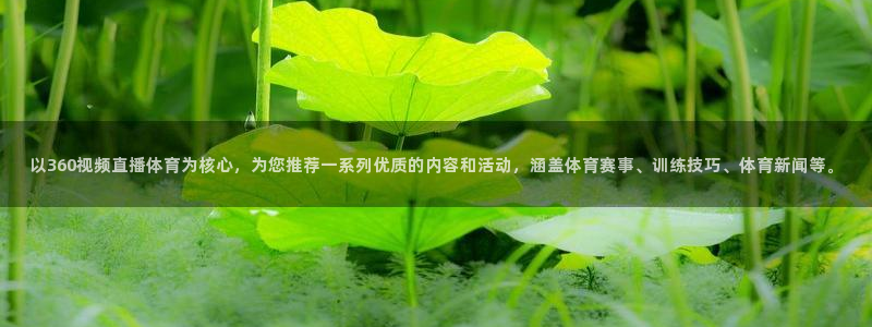 以360视频直播体育为核心，为您推荐一系列优质的内容和活动，涵盖体育赛事、训练技巧、体育新闻等。