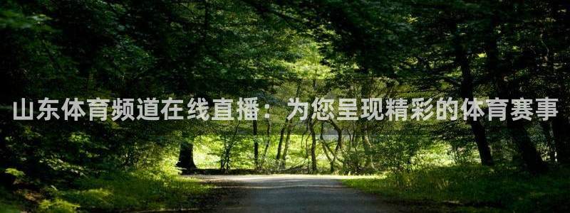 山东体育频道在线直播：为您呈现精彩的体育赛事
